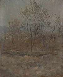 Arbres en fleurs
